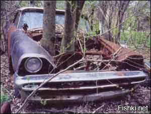 Хорошо припарковать можно не только автомобиль