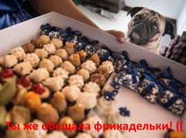 Прикольные картинки. Дневной выпуск