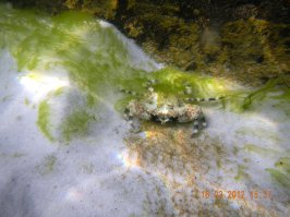 Это Вьетнам моими глазами, а не "Сенкевича"...