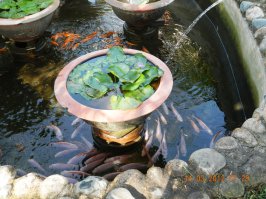 Это Вьетнам моими глазами, а не "Сенкевича"...