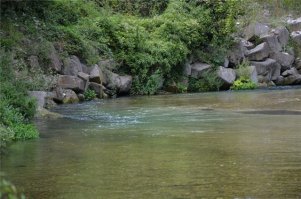 Из солянки от 03.03.2016