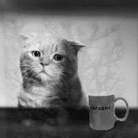 Смешные комментарии из социальных сетей 29.02.16