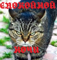 Проблемы со сном? запустите это видео