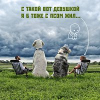 Мастер «фотошопа» превратил своего пса в гиганта