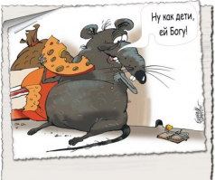 Сырные пещеры рокфора