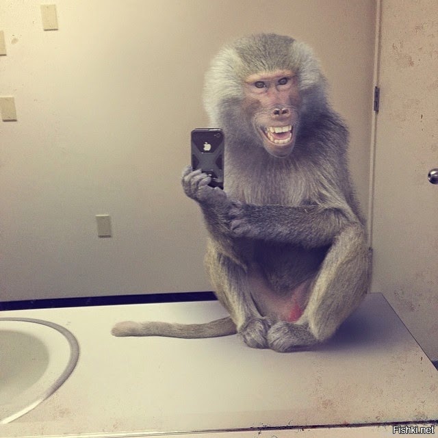 История iPhone