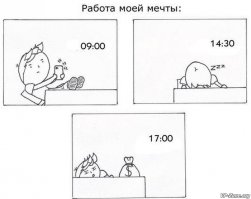 20 счастливчиков, которые сумели устроиться на работу своей мечты