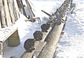 Что-то есть схожее!!!:)