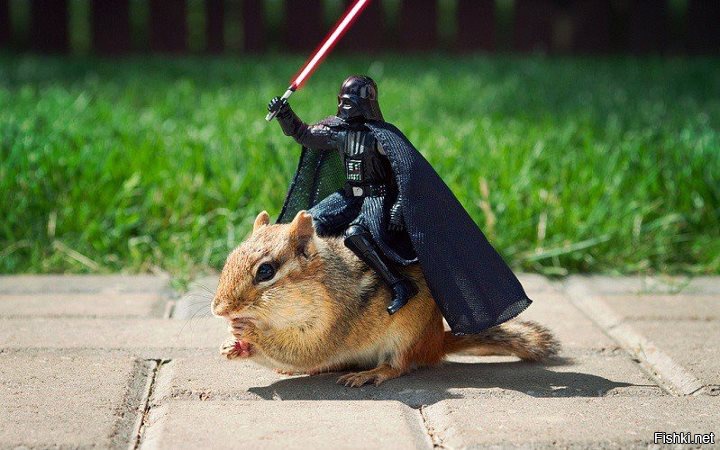 Приятно познакомиться