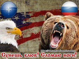 Медведь убил белоголового орлана, отгоняя его от добычи