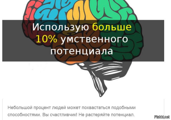 Тест, который выявит уровень работоспособности мозга (9 вопросов)