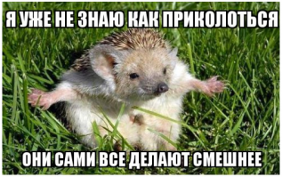 Ужасы и приколы из соцсетей 