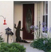 Поэтому приходится дверь на замок замыкать всегда во Флориде.