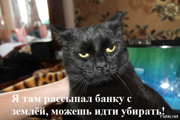 Из солянки от 04.03.2016