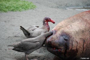 Подборка ужасно красивых фотографий