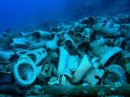 А вот такая экзотика у берегов Хургады.Ну не в пустыню же выбрасывать.