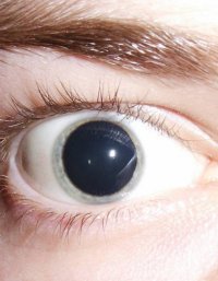 Посмотри в мои глаза: фотопроект об уникальности глаз каждого 