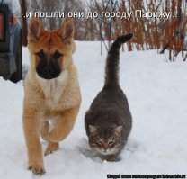 И всё-таки они возвращаются