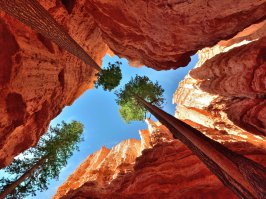 Самые удивительные и красивые места планеты!