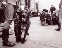 надо вот эти 2 фото совместить