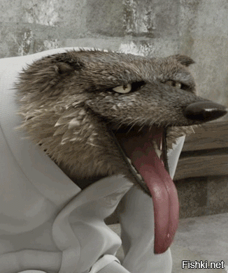 Из солянки от 04.03.2016