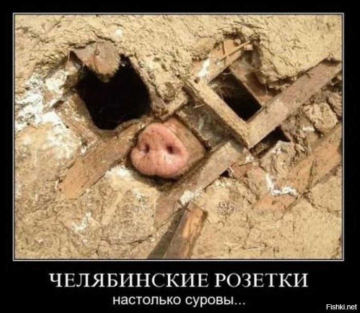 Из солянки от 03.03.2016