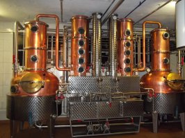 И тут я испытал оргазм, потом обиду потом зависть...