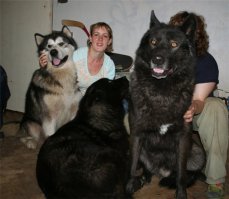 Заводите сразу Вольфхунда...