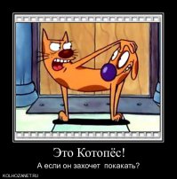 За закрытой дверью: как выглядят 6 диснеевских принцесс в туалете?