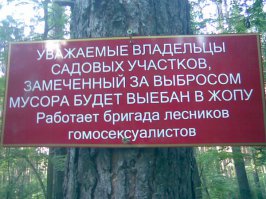 В тему про мусор в лесу: