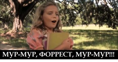 Котик Гимо, который всегда в шоке