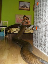 ... хера себе, сэлфи палка