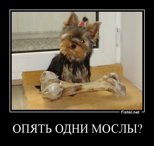 Из солянки от 04.03.2016