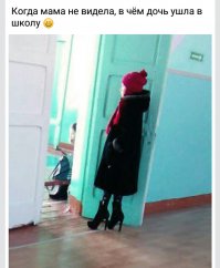 Прикольные картинки. Вечерний выпуск 