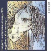 Прикольные картинки. Вечерний выпуск 