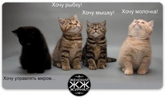 Что он задумал? Негодяй мелкий.