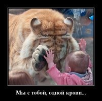 Небанальное фото