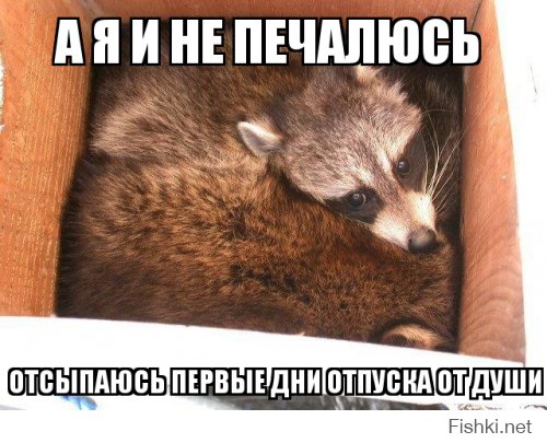 Выходные-Дрыходные