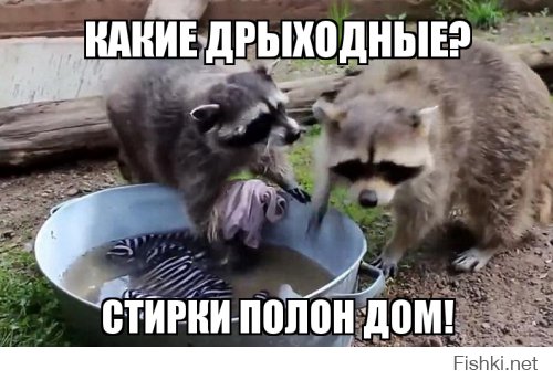 Выходные-Дрыходные