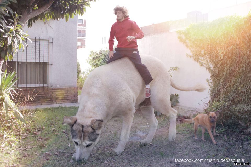1:24?! Ого-го собачка выйдет!