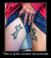 Надеюсь, бурундуки тянутся не к орешкам...