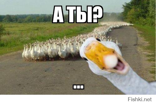 Из солянки от 05.03.2016