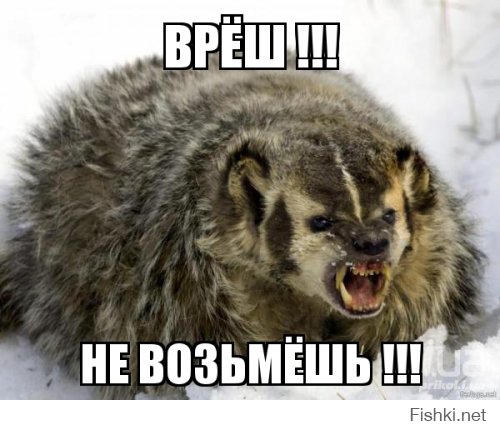 Из солянки от 04.03.2016