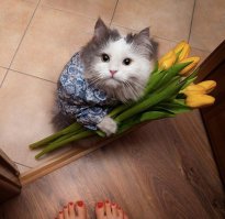 реальность