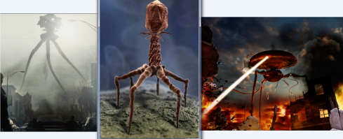 Вот вам и война миров, только- микро миров!