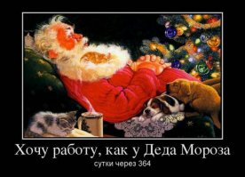 20 счастливчиков, которые сумели устроиться на работу своей мечты