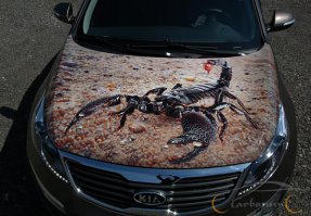 Аэрография 