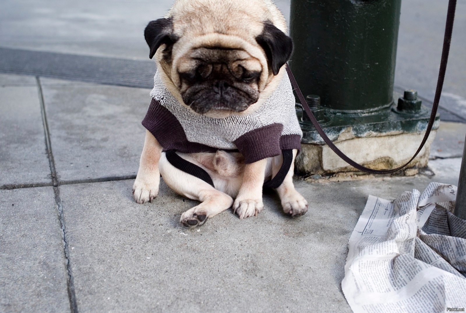 Мы с тобой одной крови