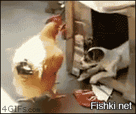 Из солянки от 05.03.2016