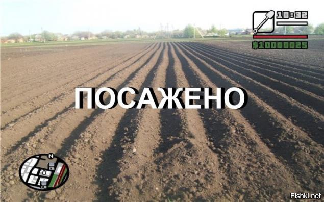 Драгун варит пропилен потом сажает печень